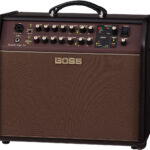 Acoustic Singer Pro 2