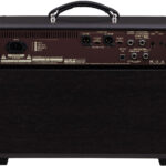 Acoustic Singer Pro 4